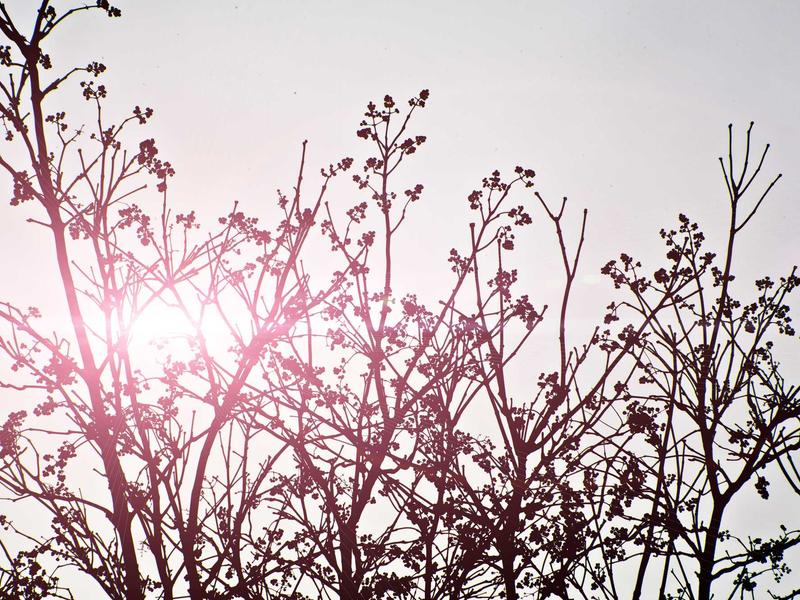 sudoku variants screenshot 1