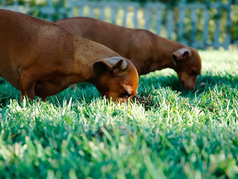 android screenshot 6